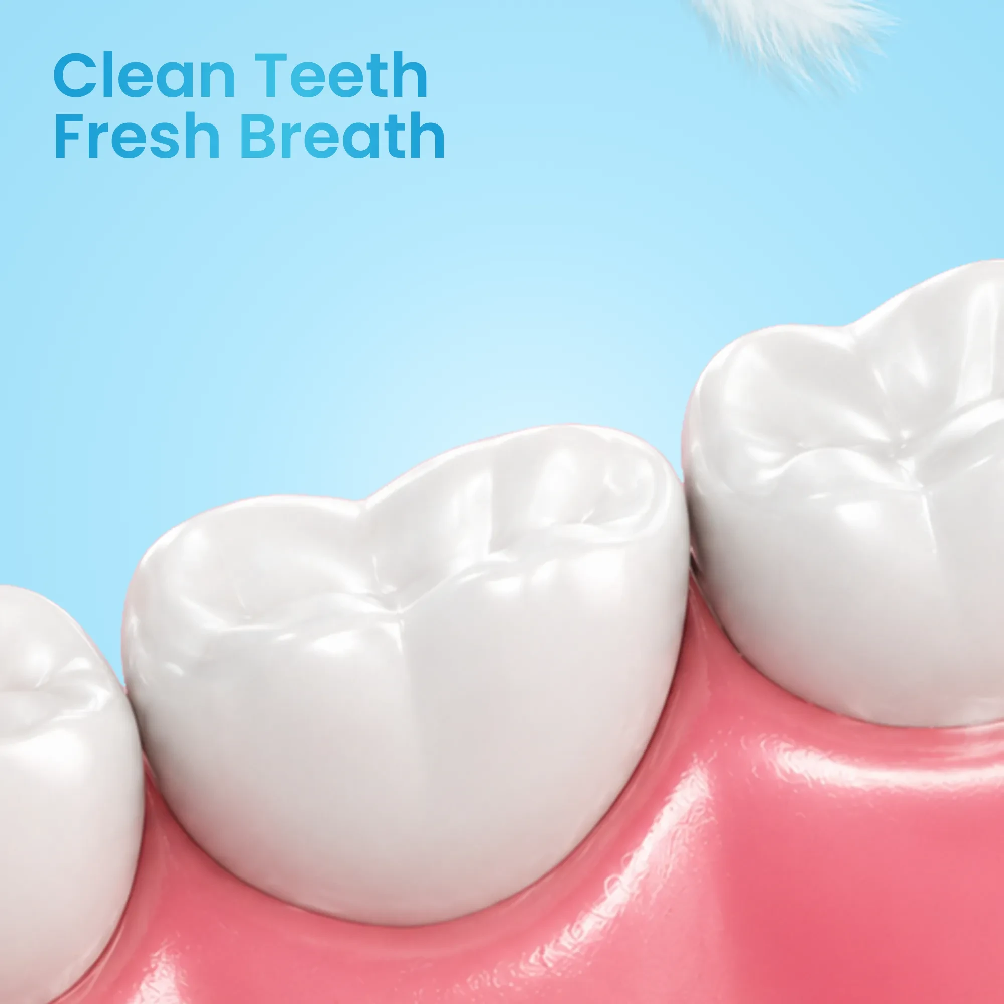 Enshine Advance Clean Toothbrush