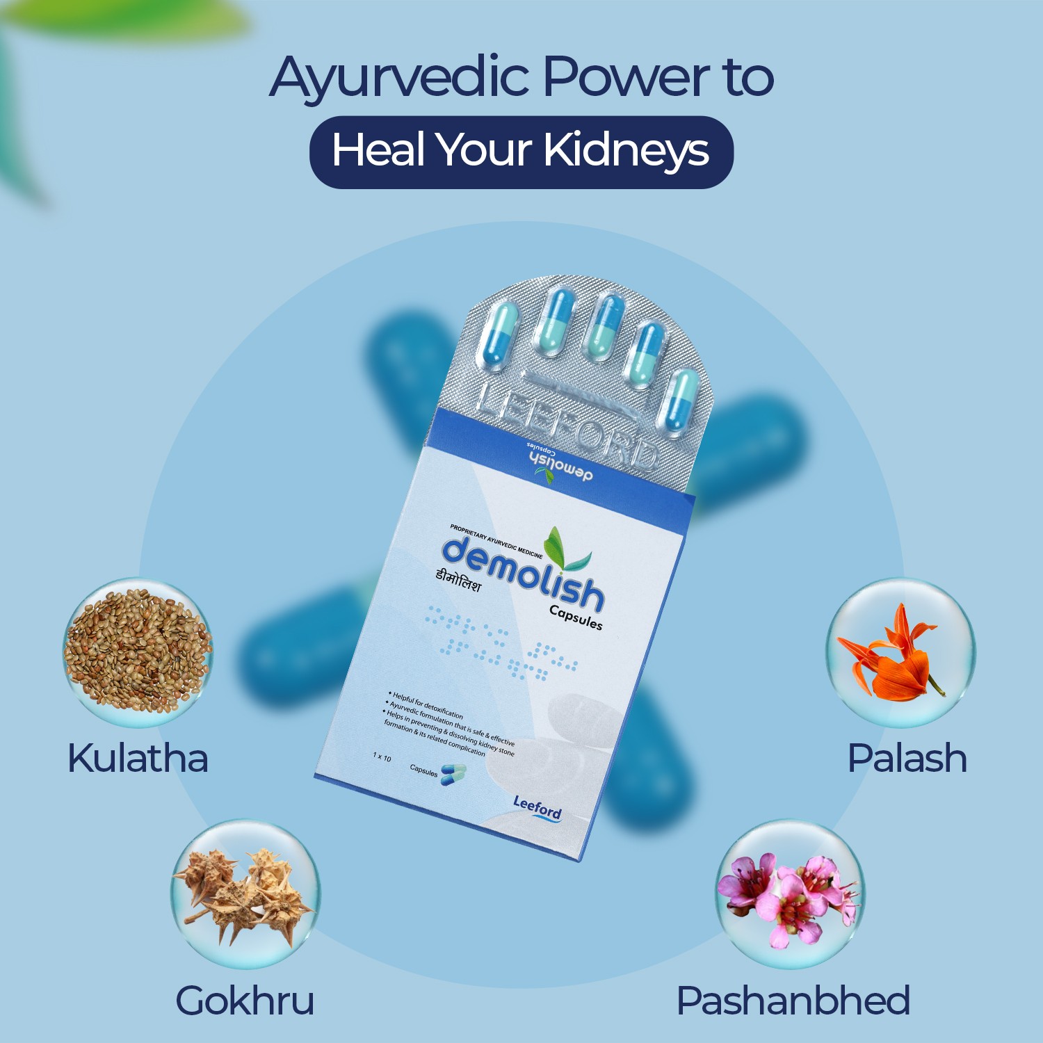 Demolish Capsule Ayurvedic Ingredients