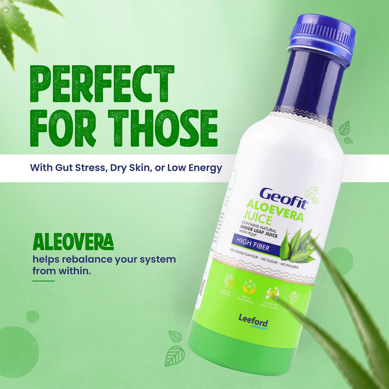 Geofit Aloe Vera Juice perfect for gut stress dry skin