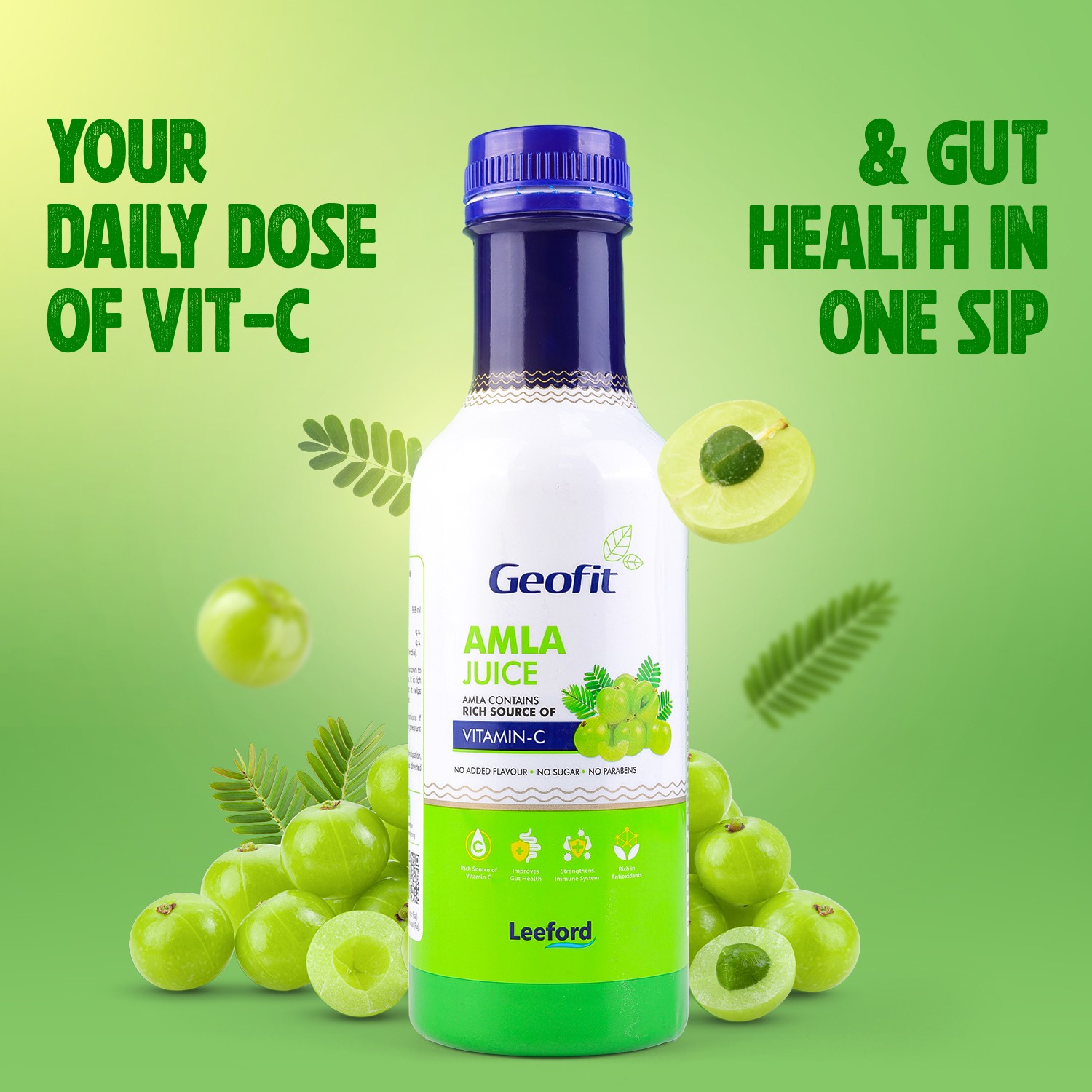 Geofit Amla Juice Your Daily Dose