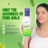 Geofit Amla Juice Goodness Of Pure Amla