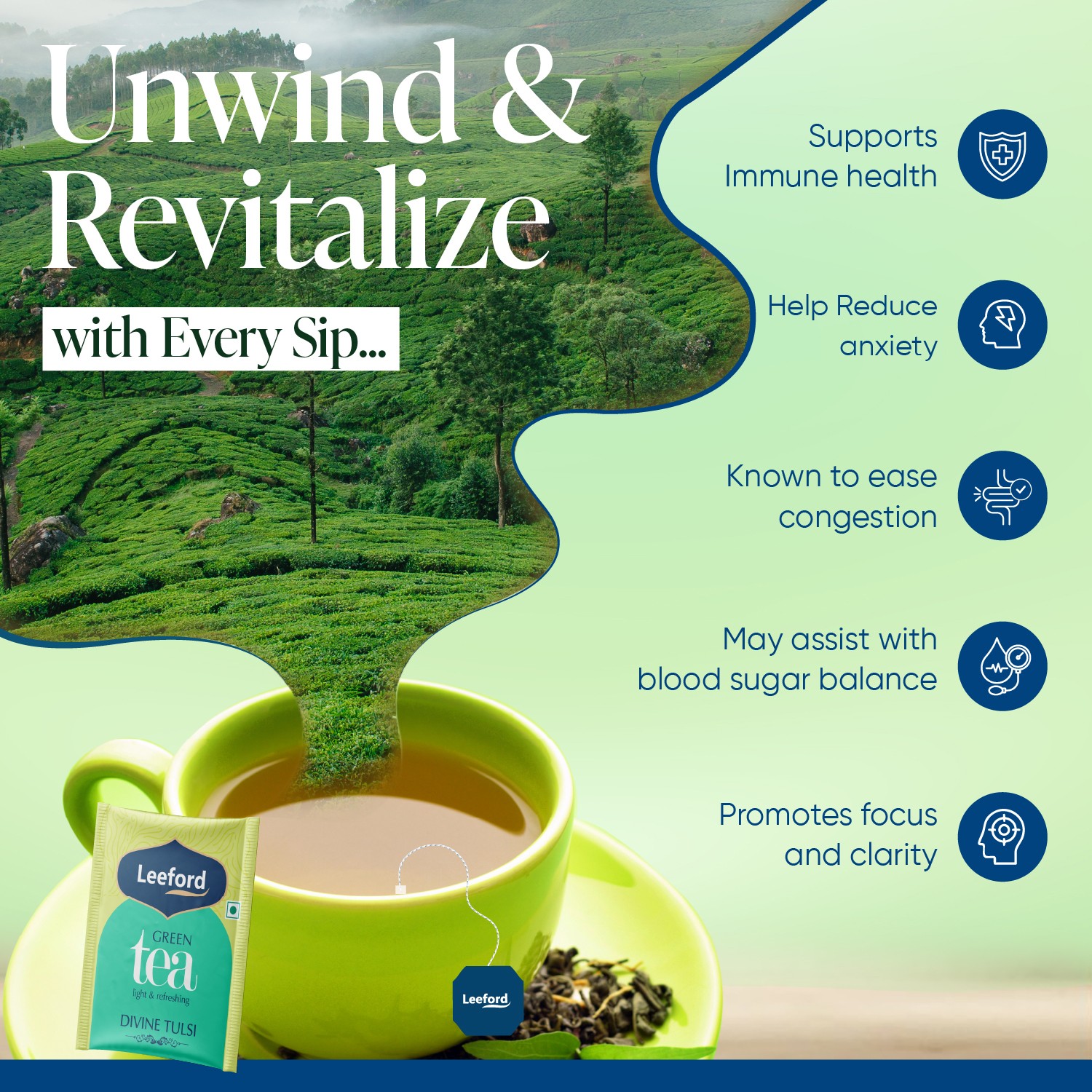 Leeford Divine Tulsi Green Tea key benefits