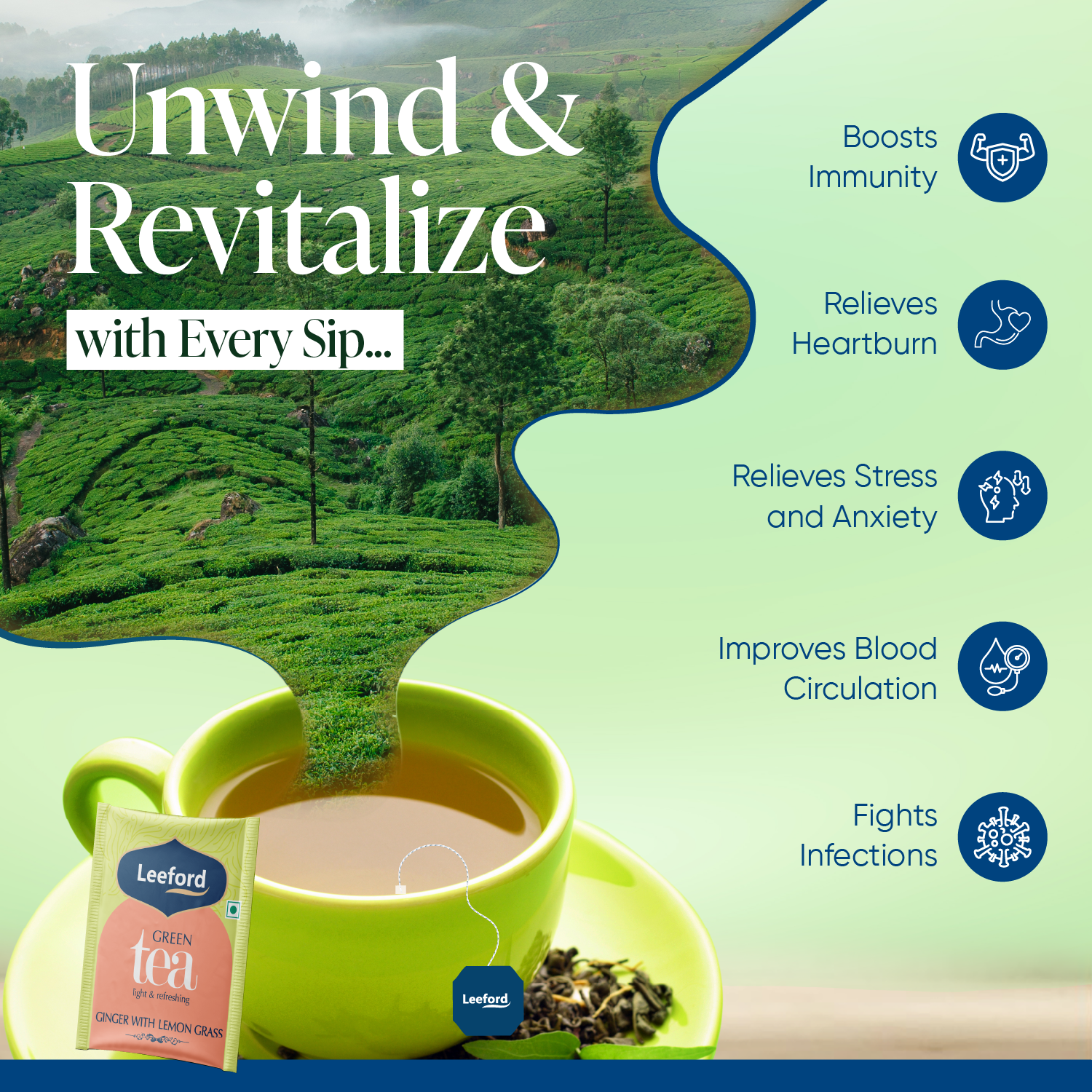 leeford ginger with lemon grass green tea key benefits