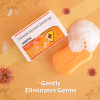Leseptic Antiseptic Soap for Germ Protection gently eliminates germs