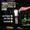 Megagrow Mass Gainer Banana Flavour with Shaker Full Of Gains