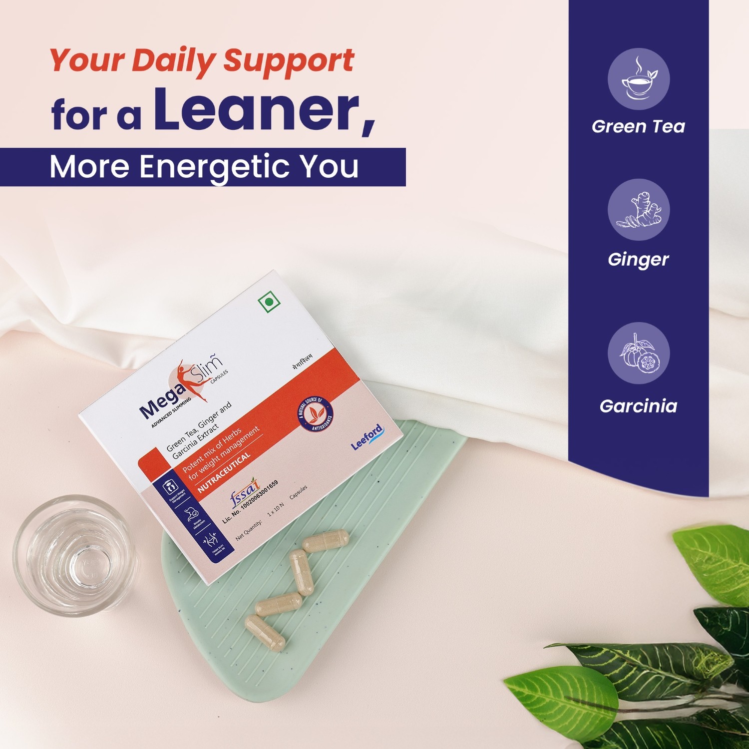 MegaSlim capsules ingredients