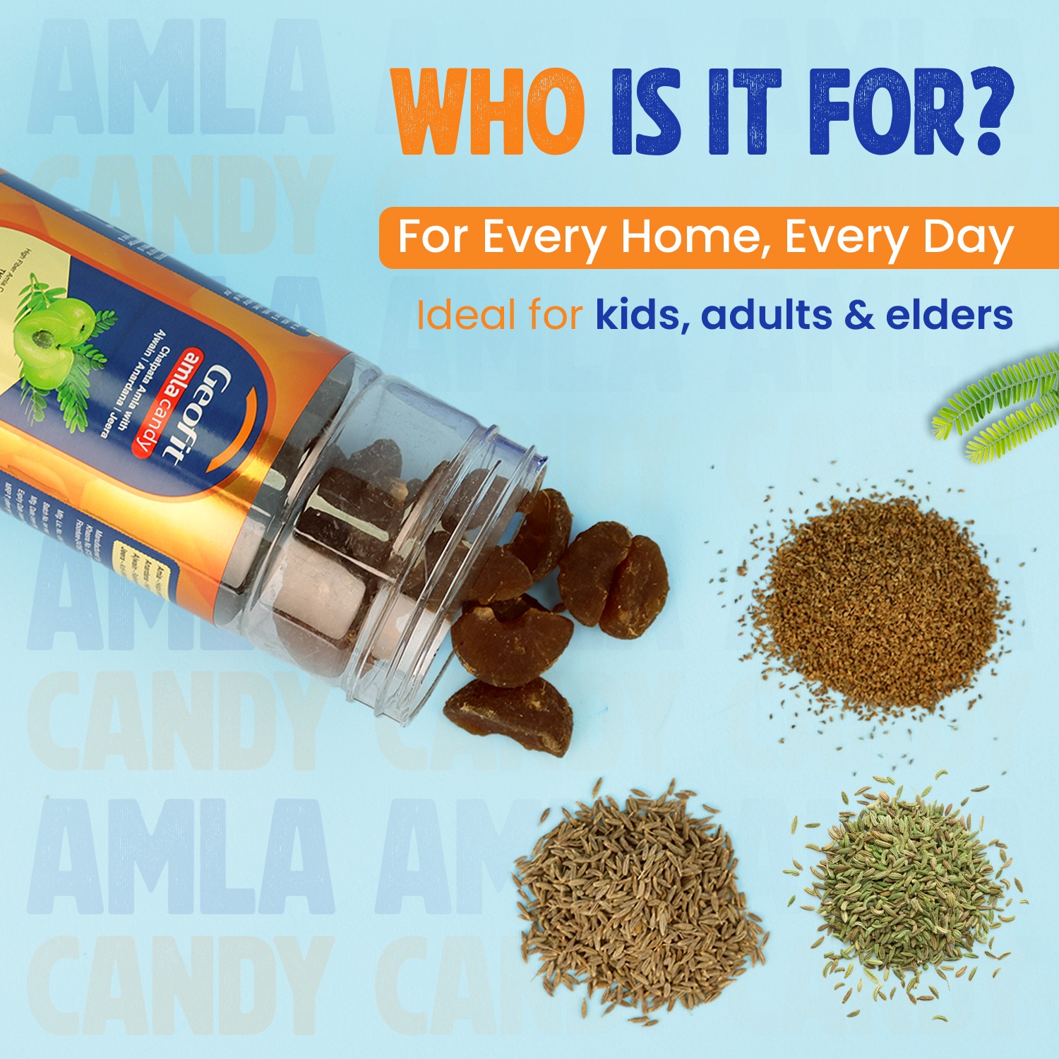 Geofit Chatpata Amla Candy ideal for kids adults