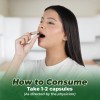 Lee Neem Capsules how to consume guide