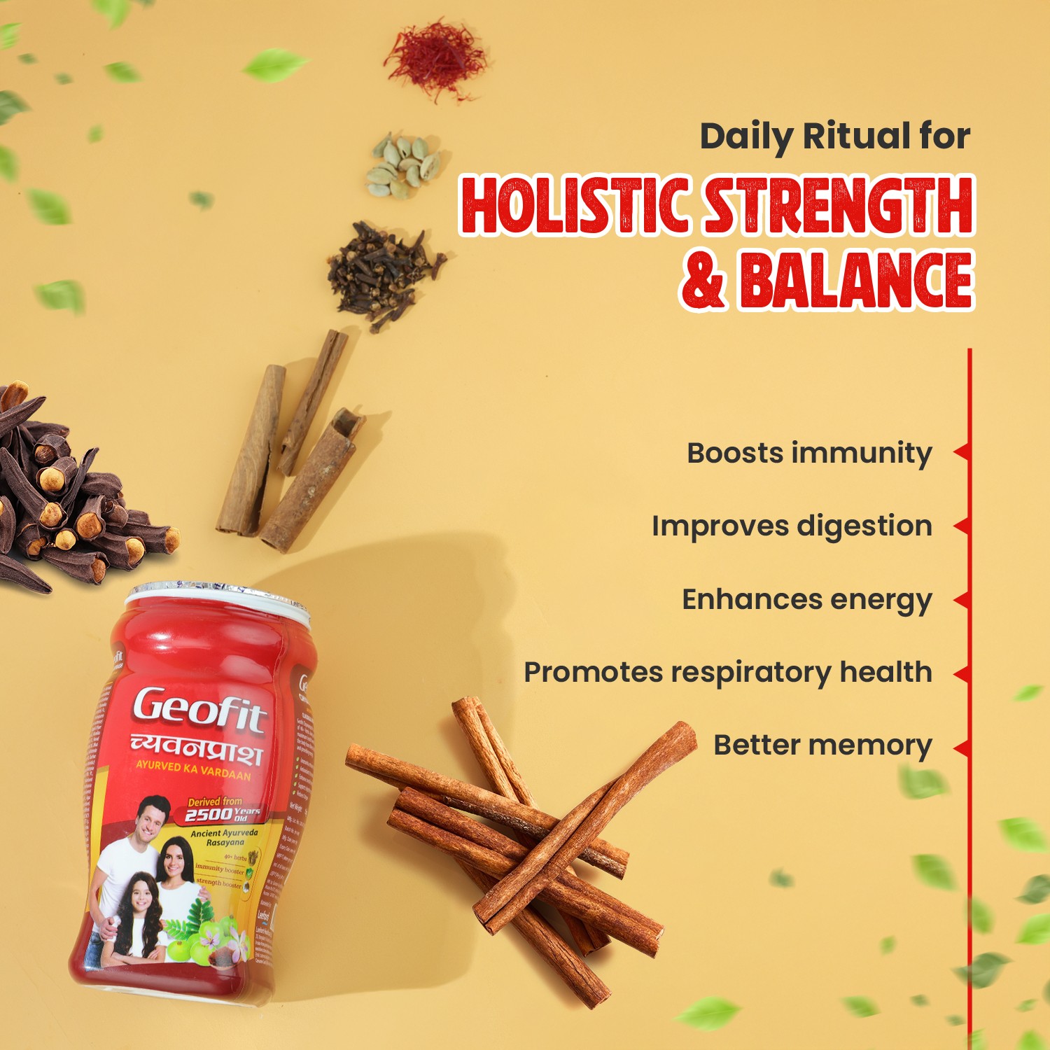 Geofit Ayurvedic Chyawanprash benefits