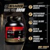 Megagrow Mass Gainer Milk Chocolate Flavour with Shaker Benefits