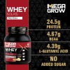 Megagrow Isolate Whey Protein Powder Vanilla Flavored with Shaker Ingredients