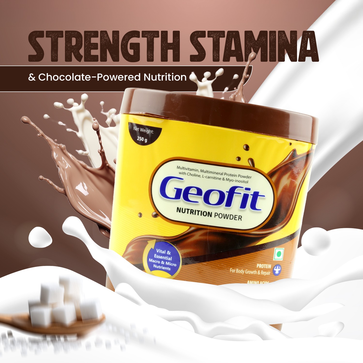 Geofit Chocolate Protein Powder strength stamina