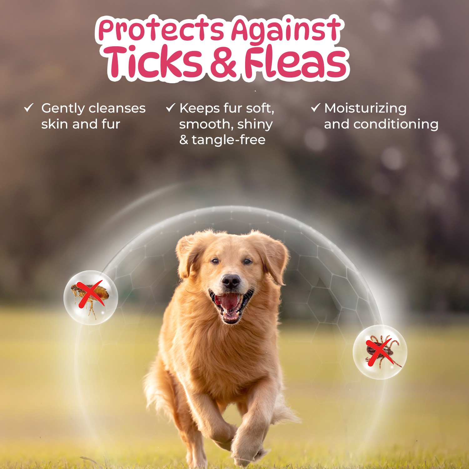 Pet O Wash Dog and Cat Shampoo all benefits