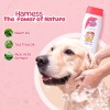 Pet O Wash Dog and Cat Shampoo natural ingredients