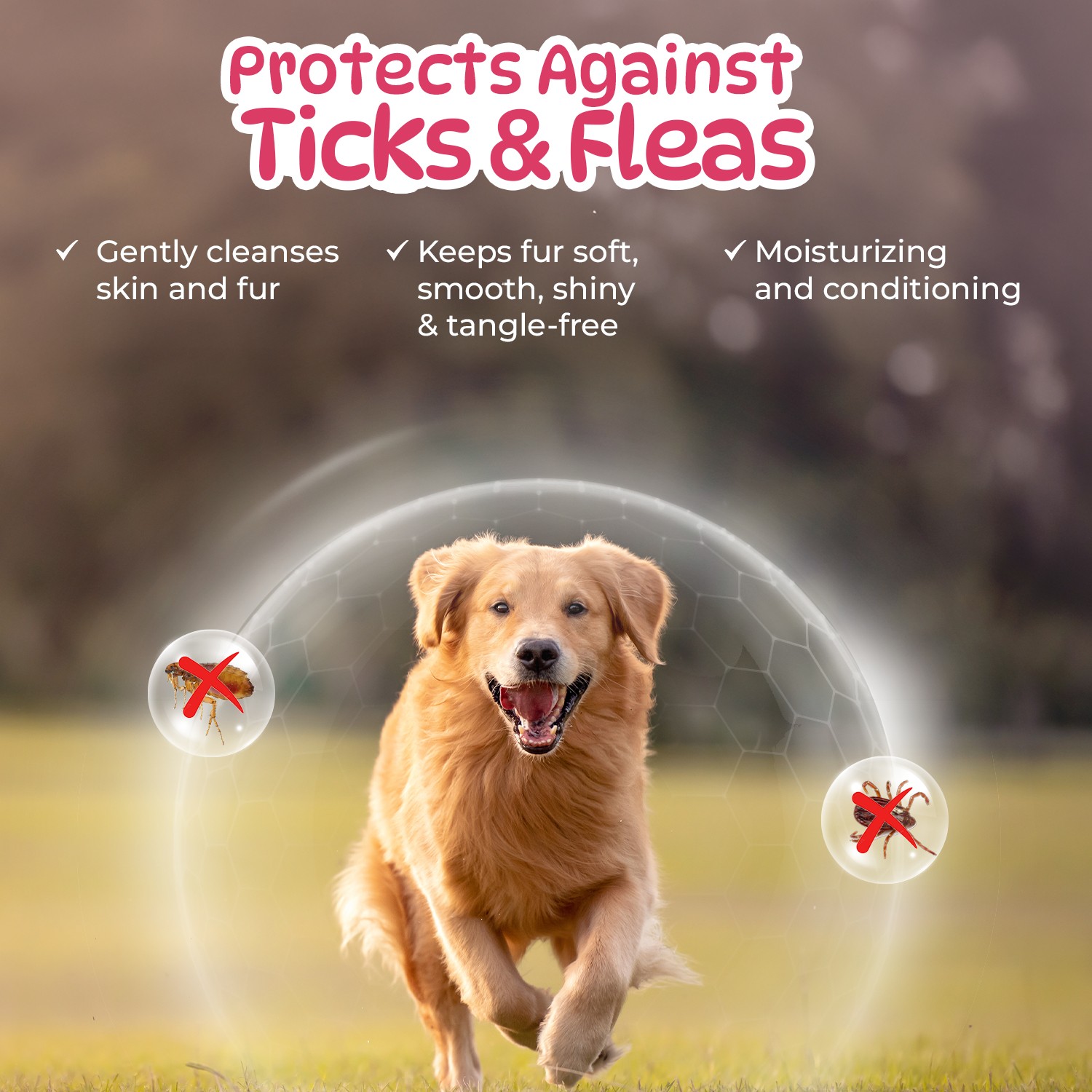 Pet O Wash 500 ml Pet Shampoo – Gentle, Soothing Wash for Dogs & Cats