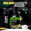 Megagrow Mass Gainer Banana Flavour Charge Your Muscles