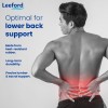 Leeford Contoured Lumbo Sacral Belt back support benefits