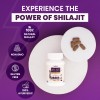 Leeford Shilajit Tablets all ayurvedic features