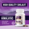 Leeford Shilajit Tablets source details