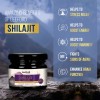 Shilajit Gold Resin With Swarna Bhasma 20g benefits