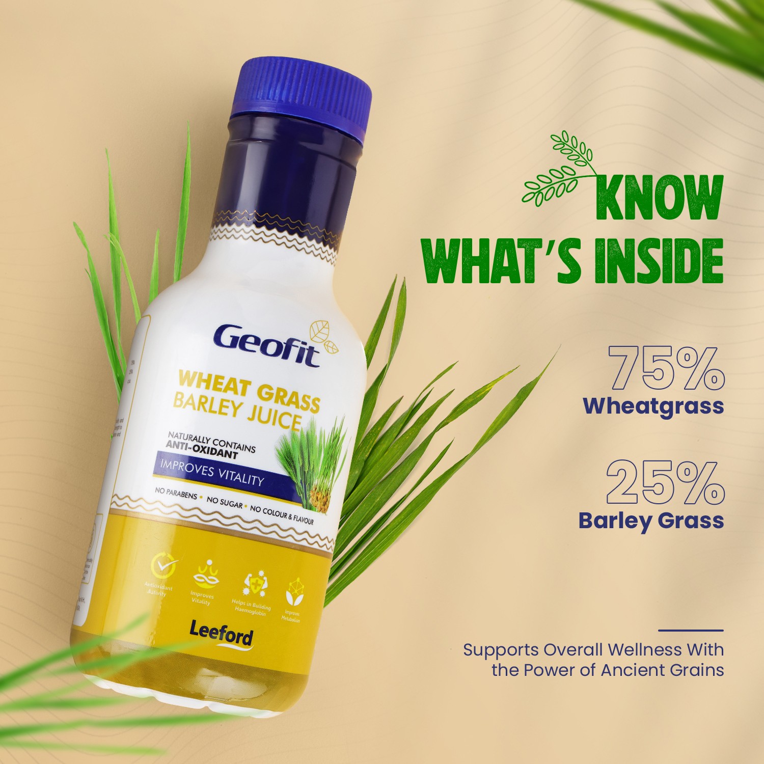 geofit wheat grass barley juice with seventy five percent wheat grass and twenty five barley