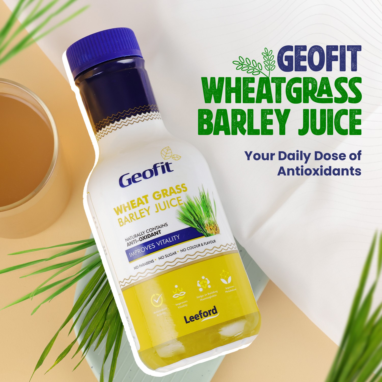 geofit wheat grass barley juice rich in antioxidants