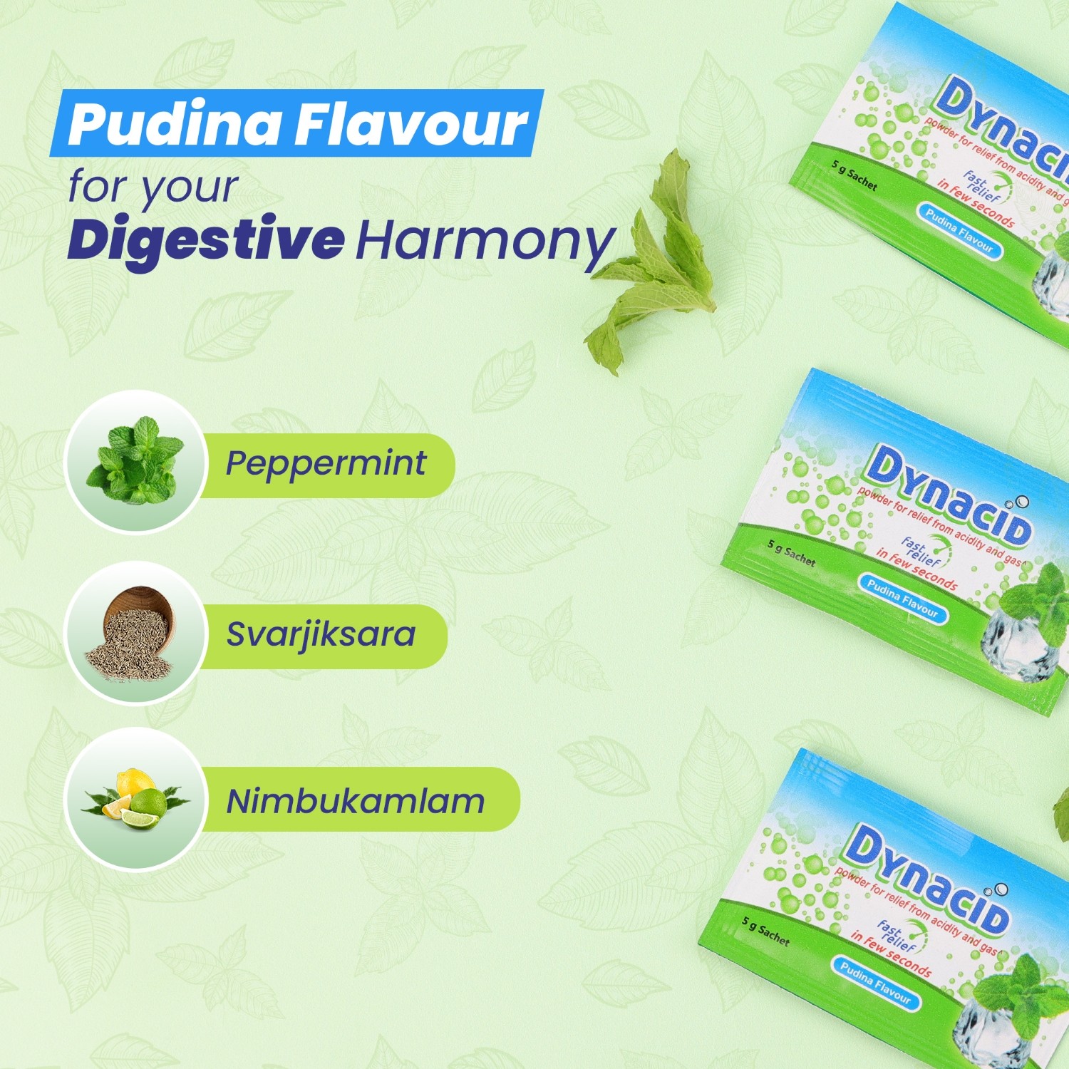 Dynacid pudina sachet with key ingredients