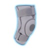 Knee support with hinge