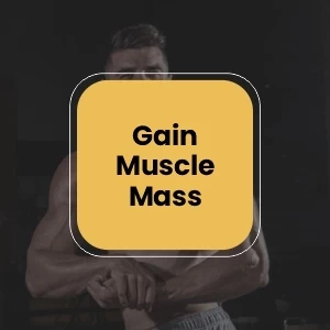 Megagrow Mass Gainer Mango Flavor with Shaker