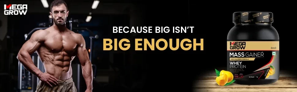 Megagrow Mass Gainer Mango big enough