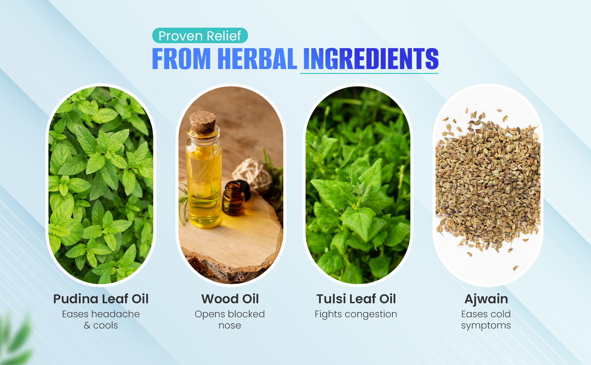 Diecold Rub for Headache herbal ingredients