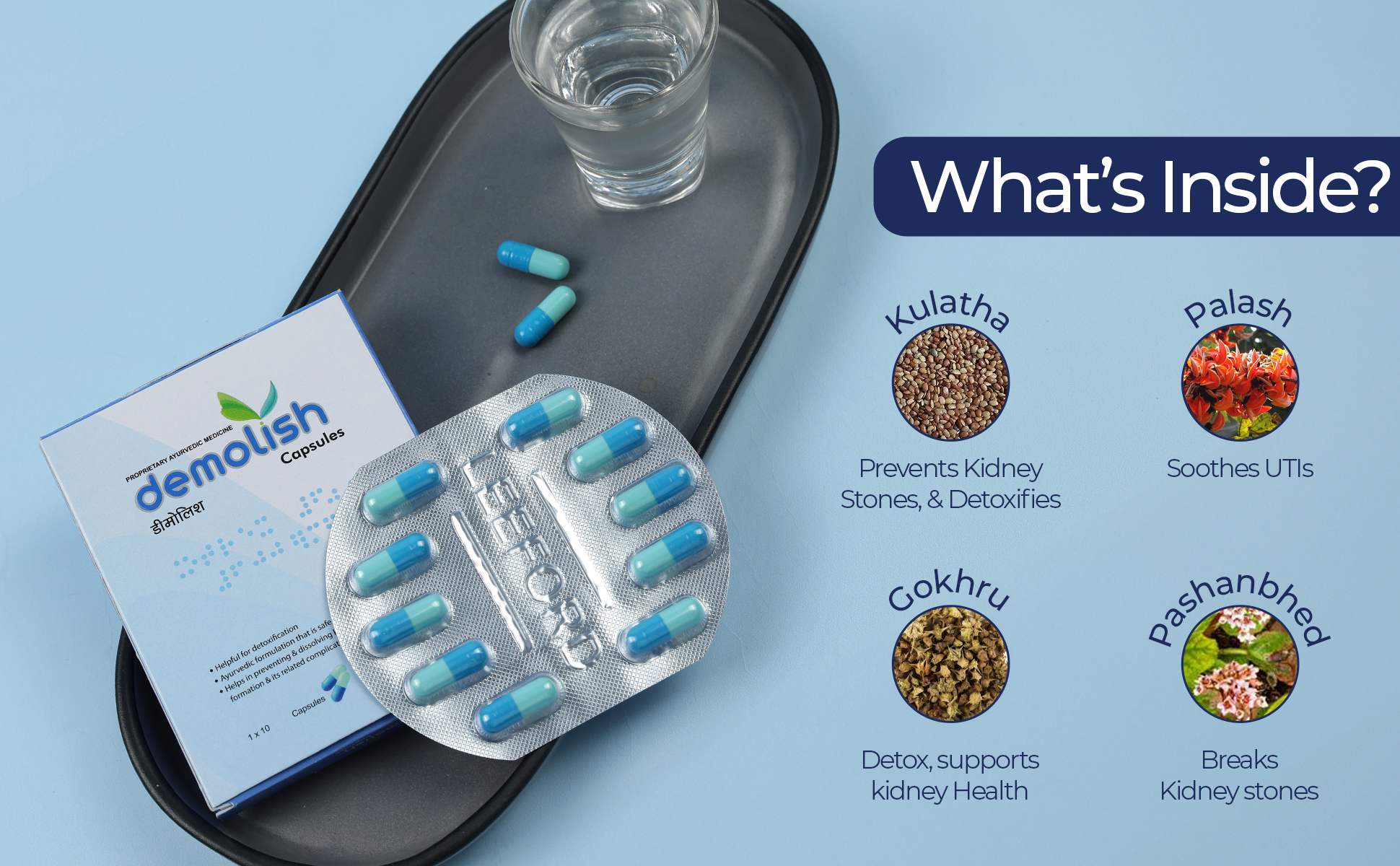 Demolish Ayurvedic Capsules ingredients