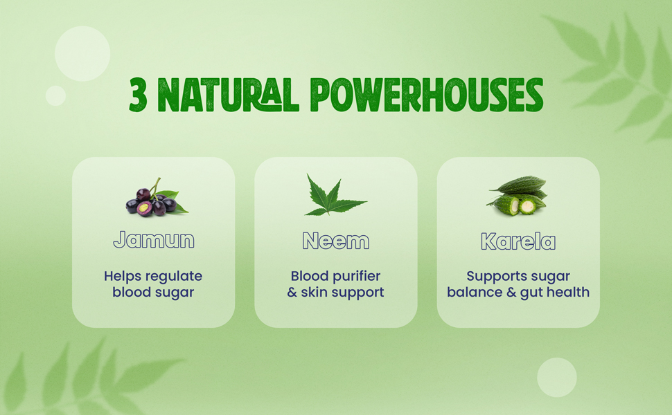 Geofit Jamun Neem Karela Powder with three natural powerhouse