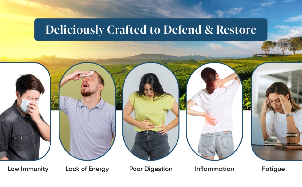 Leeford Divine Tulsi Green Tea all benefits