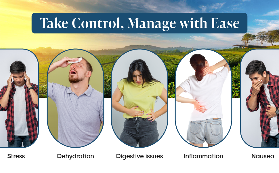 Leeford Green Tea Detox Kahwa helps in dehydration weight management