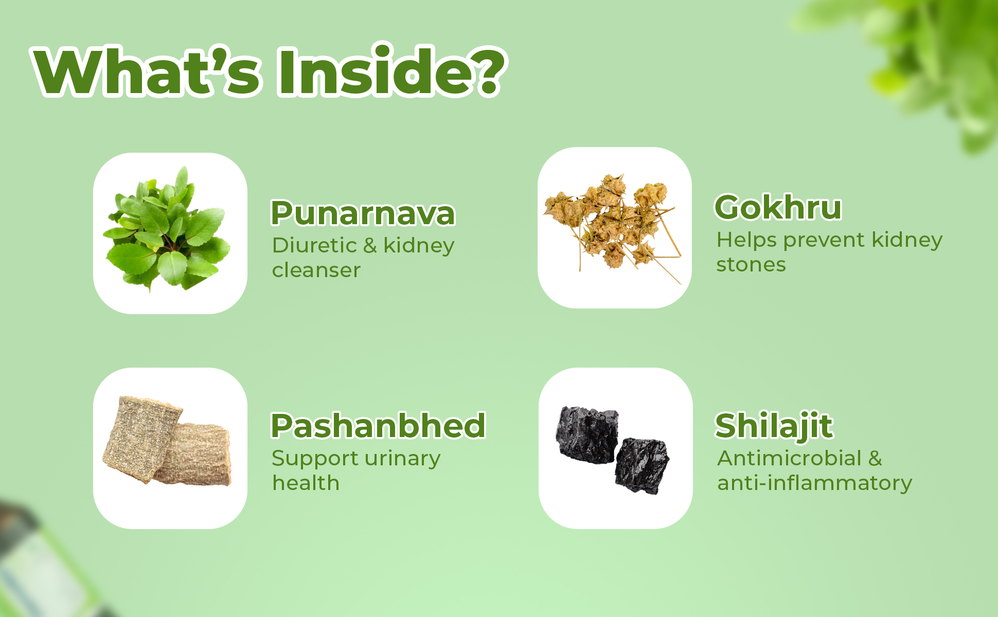 Demolish Ayurvedic Syrup ingredients