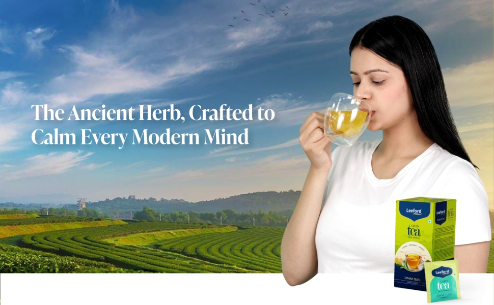 Leeford Divine Tulsi Green Tea crafted to calm every modern mind