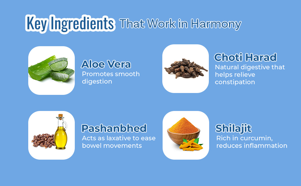 pilogo natural piles relief capsules key ingredients