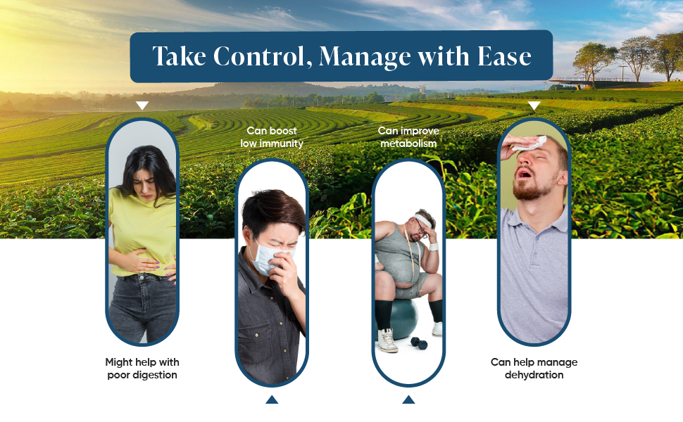 leeford ginger with lemon grass green tea key benefits