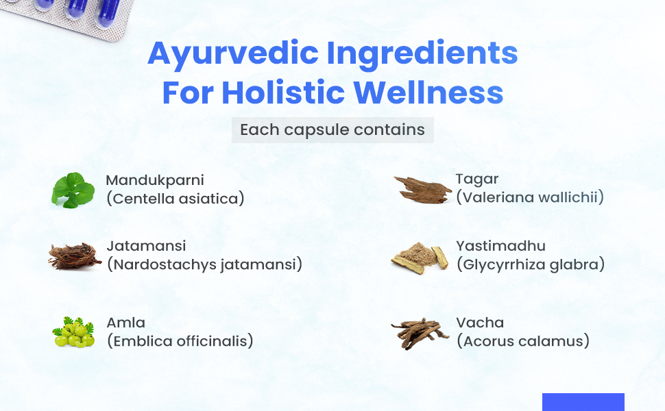 Leeford Stresozip capsules ayurvedic ingredients