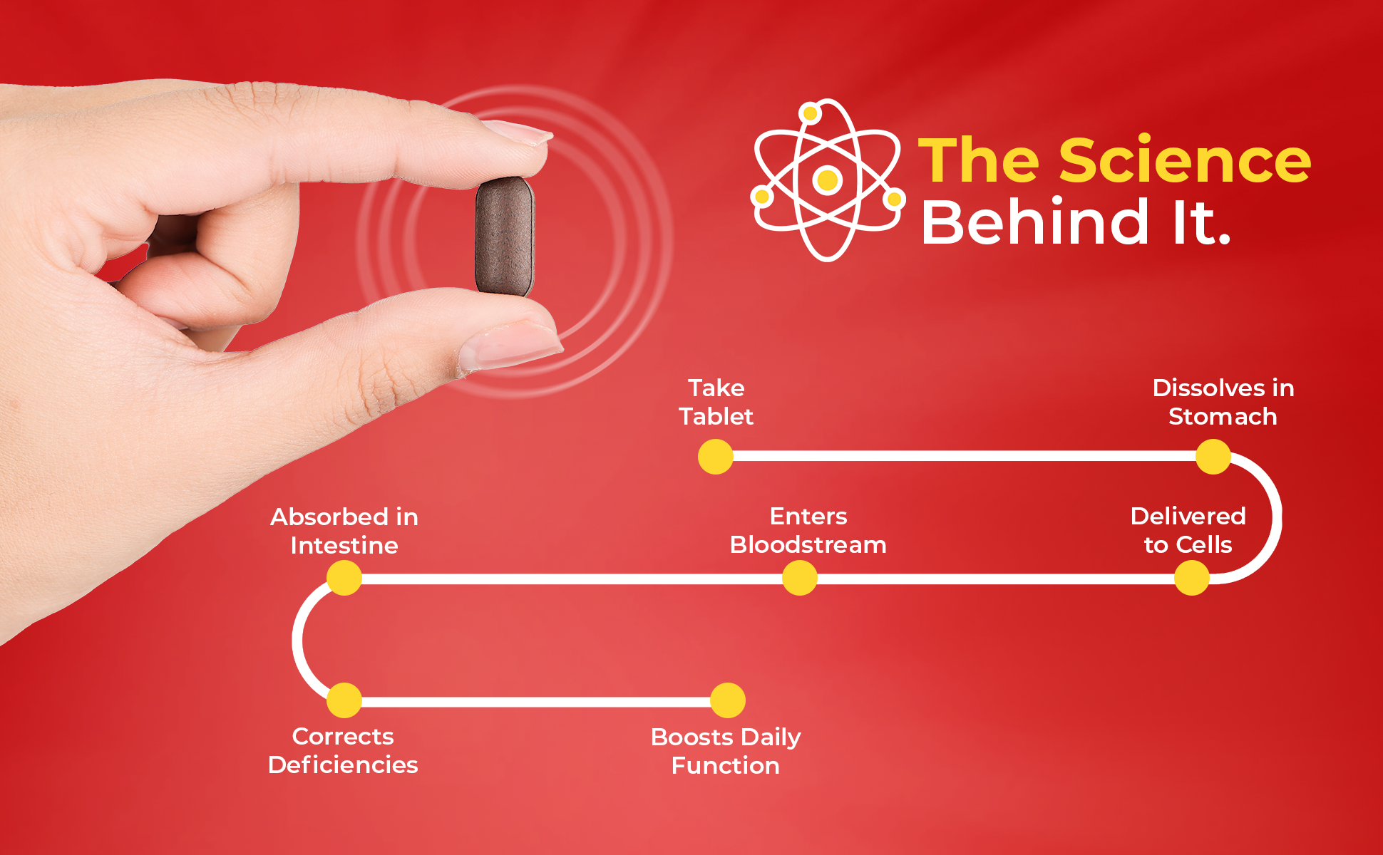 IM Activ Multivitamin Tablets the science behind it