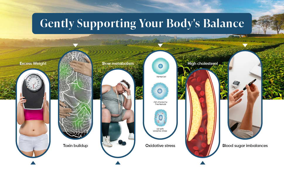 Leeford Aqua Slim Herbal Green Tea support body balance