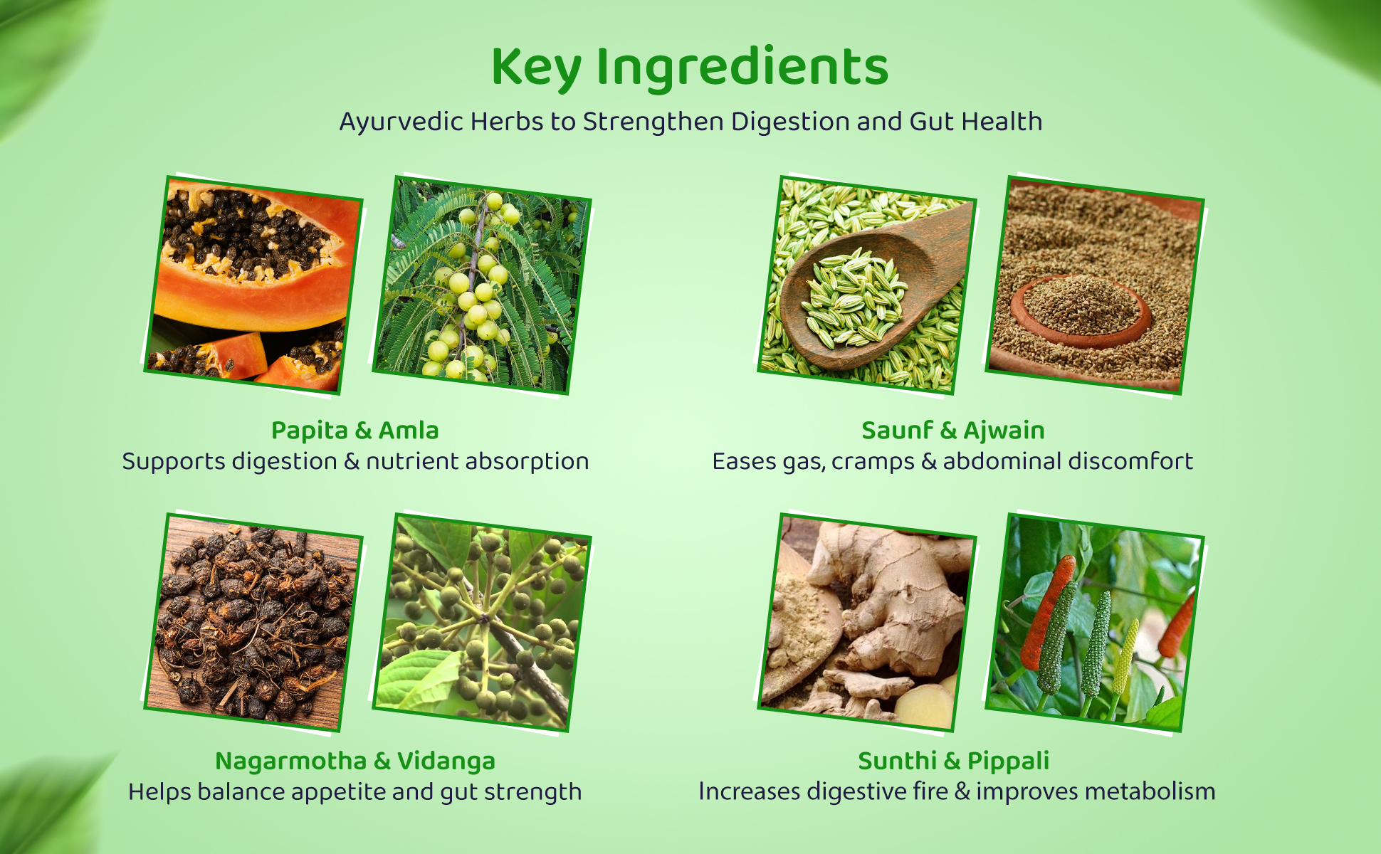 Biopron Herbal Syrup key ingredients
