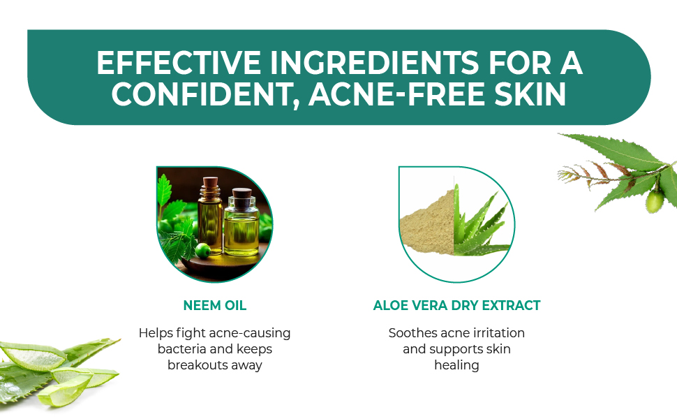 Acnetoin neem and aloevera soap key ingredients
