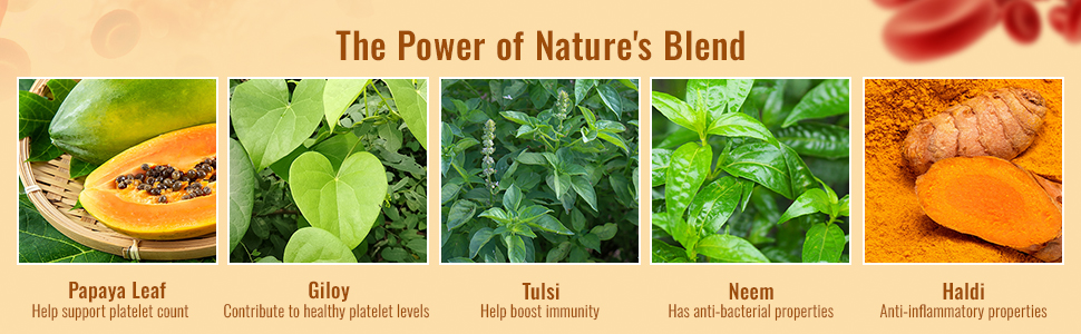 Platigen Platelet Enhancer Syrup natural ingredients