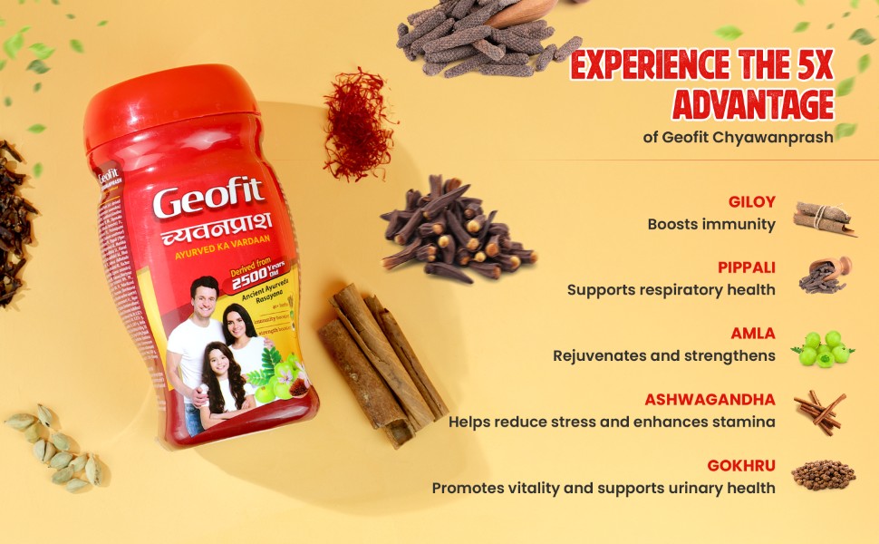 Geofit Ayurvedic Chyawanprash advantages
