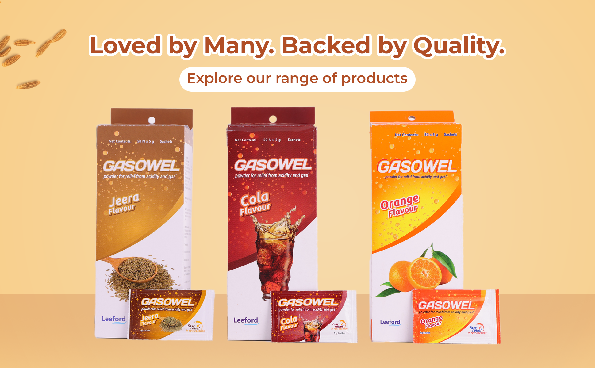 Explore Gasowel powders products ranges loved by many backed by quality